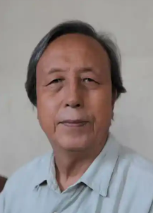 杜希贤