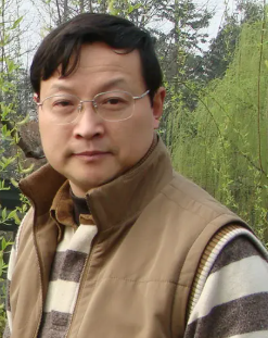 张伟民
