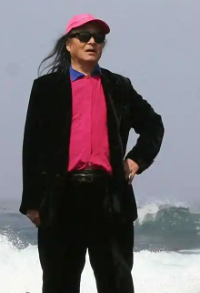 贾平西